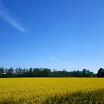 Finja In Putgarten, Kap Arkona Ruegen Апартаменты