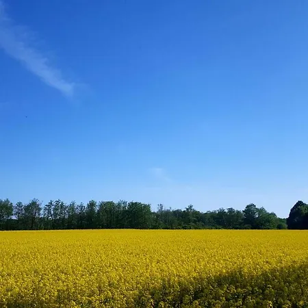 Finja In Putgarten, Kap Arkona Ruegen דירה