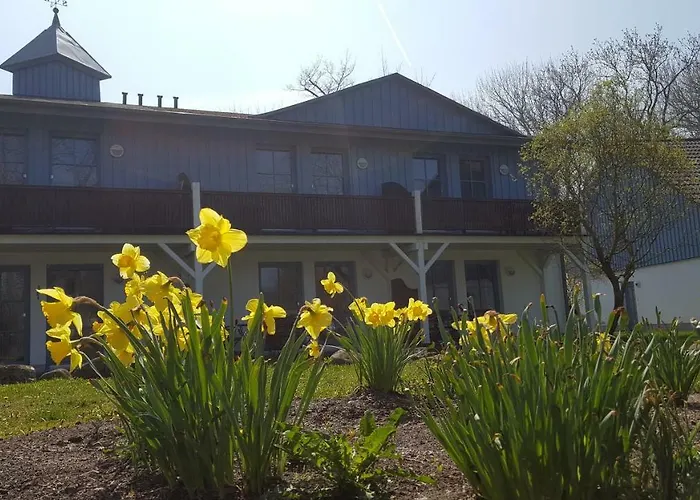 Finja In Putgarten, Kap Arkona Ruegen アパート Putgarten