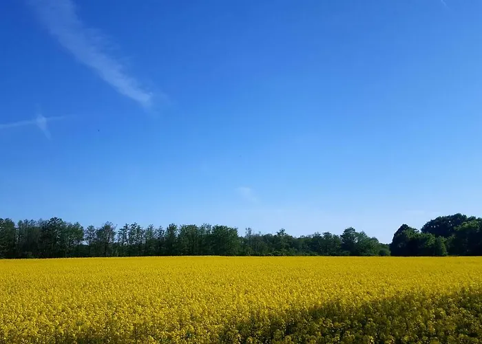 Finja In Putgarten, Kap Arkona Ruegen アパート
