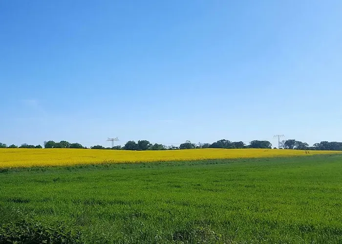 Finja In Putgarten, Kap Arkona Ruegen アパート Putgarten